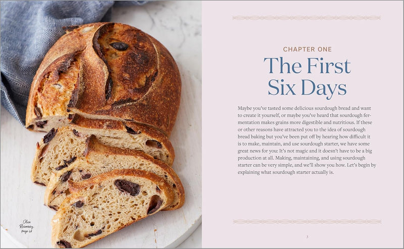 Sourdough Cookbook for Beginners (Spiral Bound)