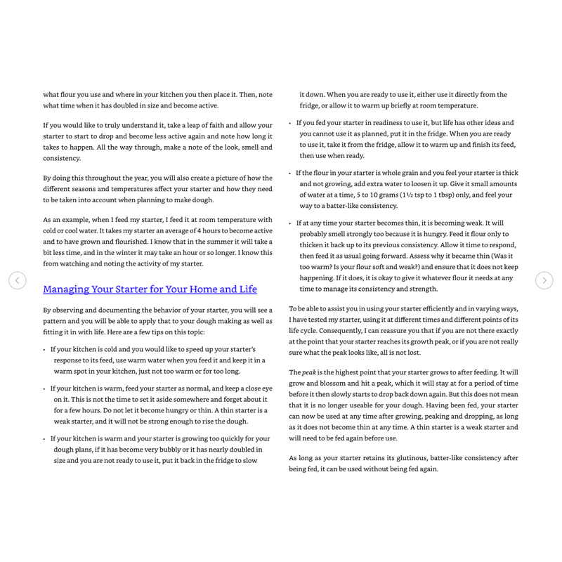 The Sourdough Whisperer (Spiral Bound)