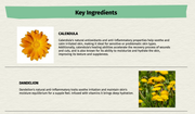Calendula Dandelion Essential Bar Soap | SallyeAnder Kitchen & Bath from Kitchen Supply