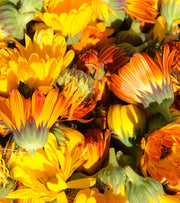 Calendula Dandelion Essential Bar Soap | SallyeAnder Kitchen & Bath from Kitchen Supply