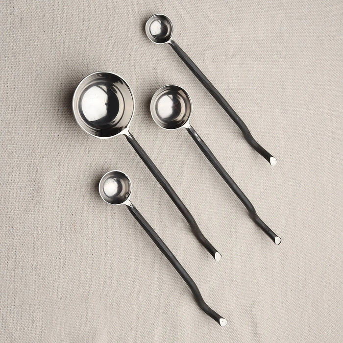 Twig Black Measuring Spoons Set