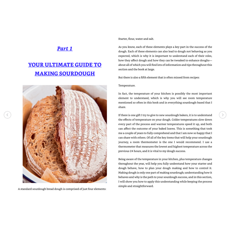 The Sourdough Whisperer (Spiral Bound)
