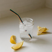 Stainless Steel Straw - Straight, Bent, or Boba Style Drinking Straws & Stirrers from Kitchen Supply