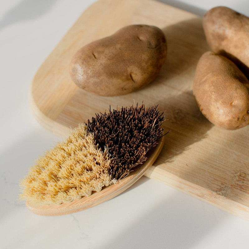 Vegetable Brush Scrub Brushes from Kitchen Supply