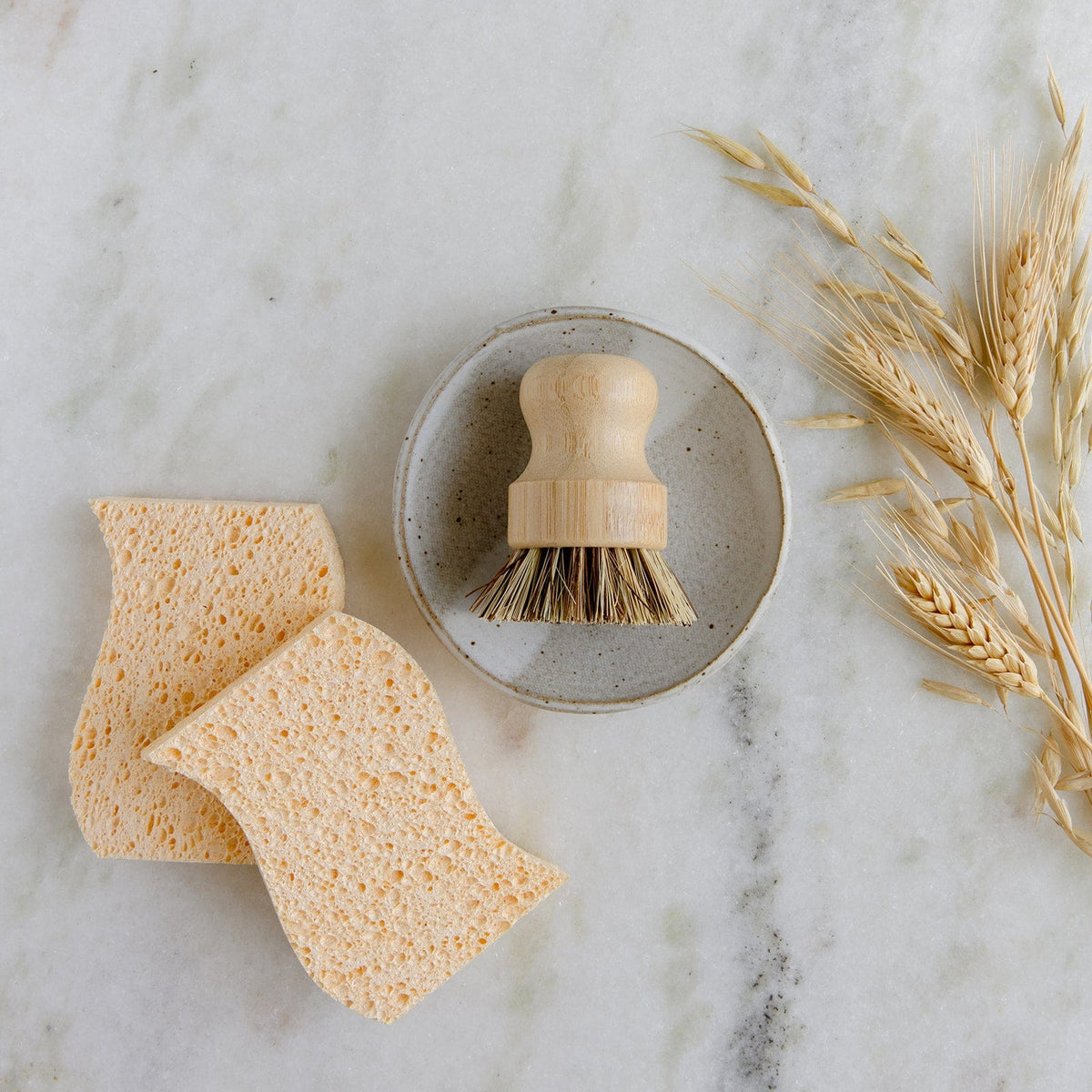 Dish Sponge Mini Kit — Kitchen Supply Wholesale
